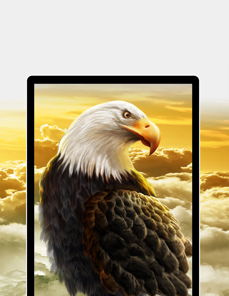 Double Sided Digital Signage